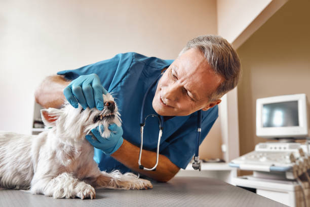 Best Emergency Treatment for Dental Infections or Abscesses in Grandview, OK